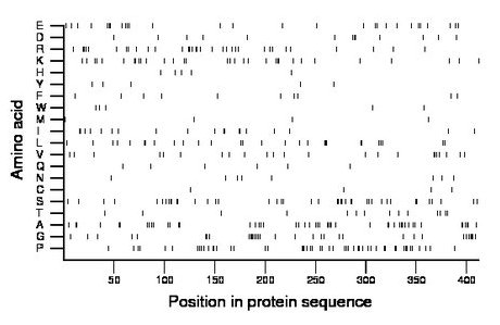 amino acid map