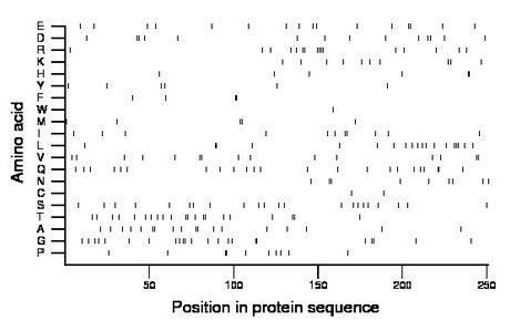 amino acid map