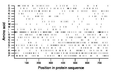 amino acid map