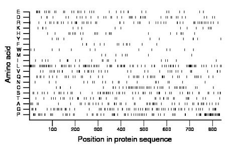 amino acid map