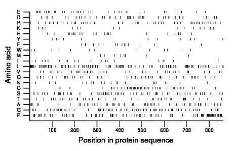 amino acid map