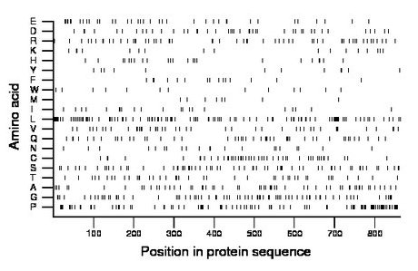 amino acid map