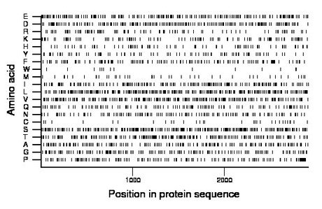 amino acid map