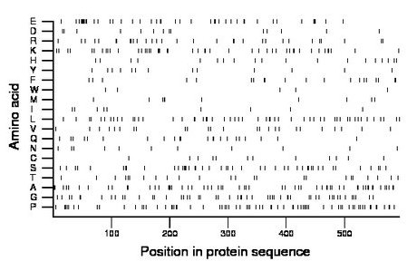 amino acid map