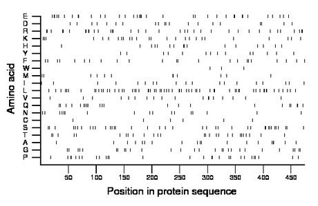 amino acid map