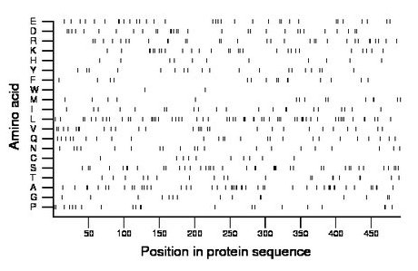 amino acid map