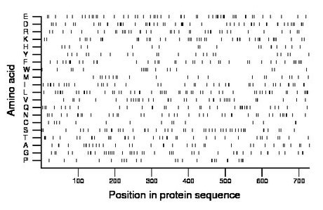 amino acid map