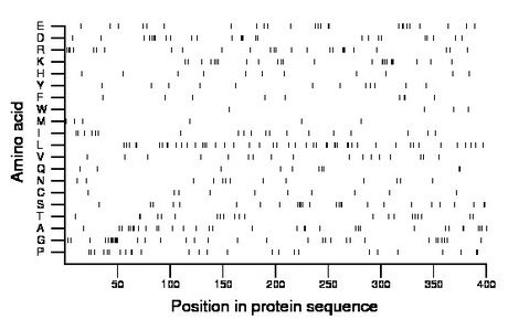 amino acid map