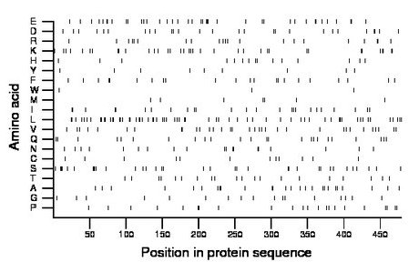 amino acid map