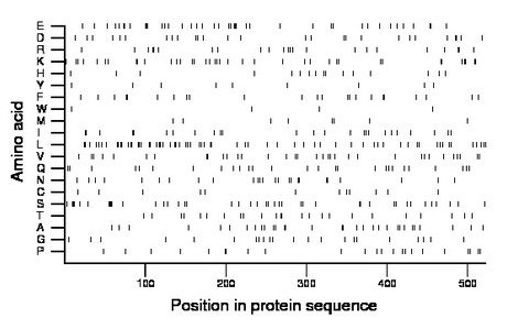 amino acid map