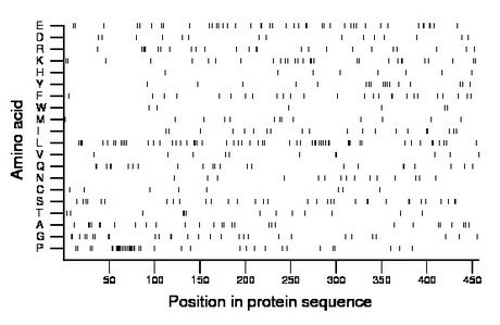 amino acid map