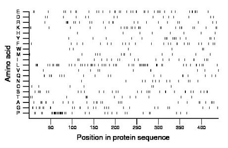 amino acid map