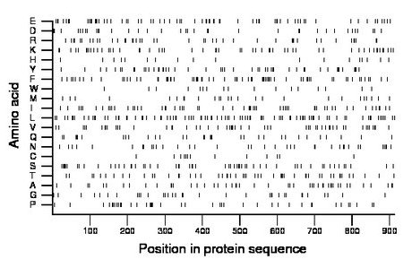 amino acid map