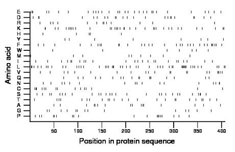 amino acid map