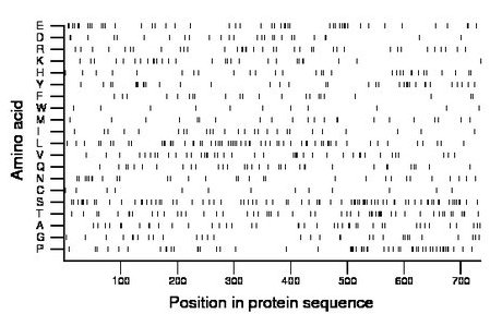 amino acid map