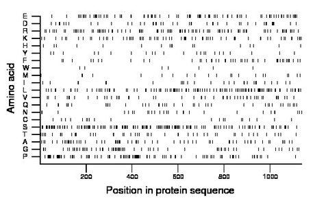 amino acid map