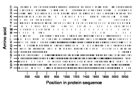 amino acid map