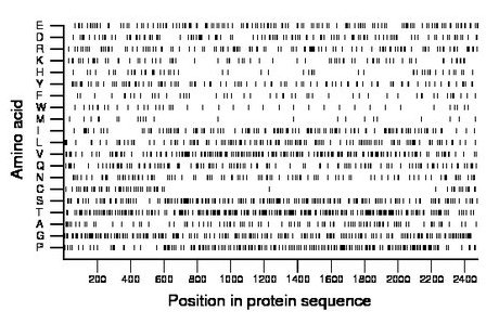 amino acid map