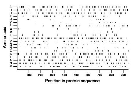 amino acid map