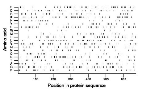 amino acid map