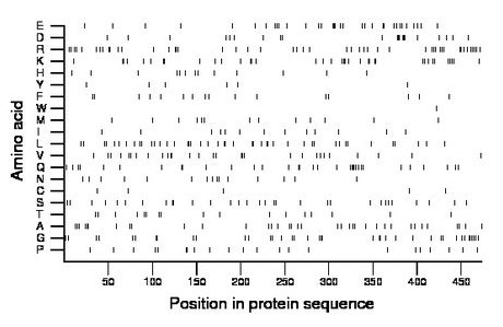 amino acid map