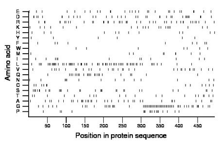 amino acid map