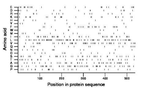 amino acid map