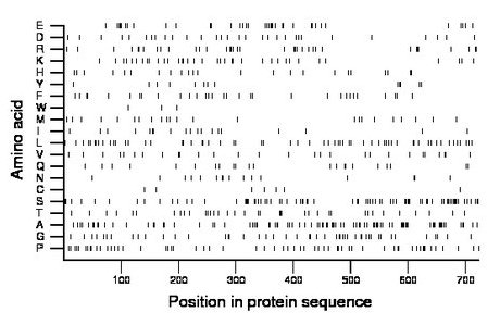 amino acid map