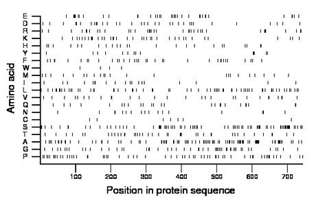 amino acid map