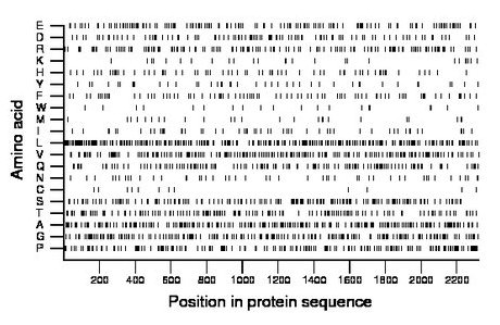 amino acid map