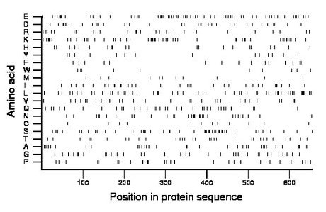 amino acid map