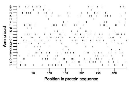 amino acid map