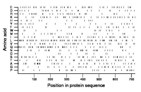 amino acid map