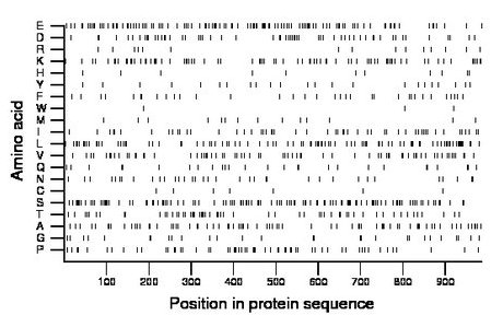 amino acid map