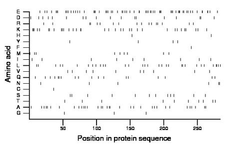 amino acid map