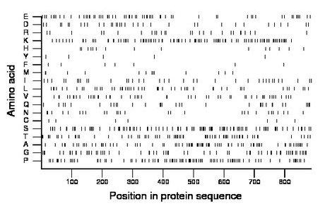 amino acid map