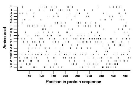 amino acid map