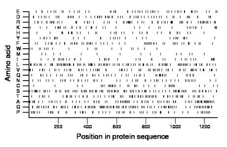 amino acid map