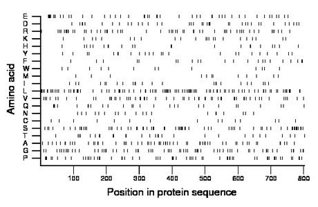 amino acid map