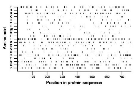 amino acid map