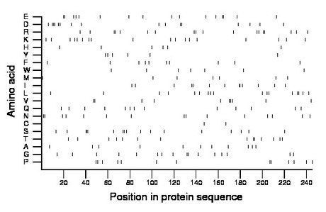 amino acid map