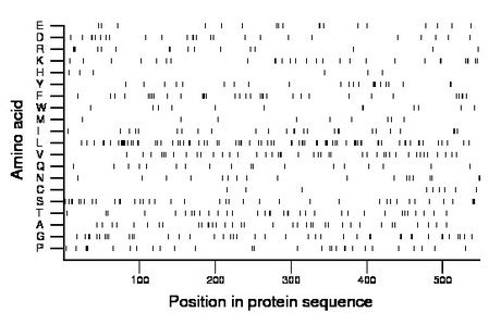 amino acid map