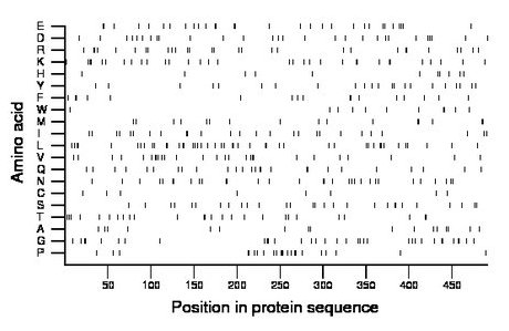 amino acid map