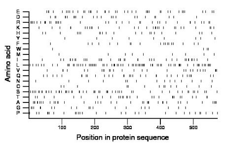 amino acid map