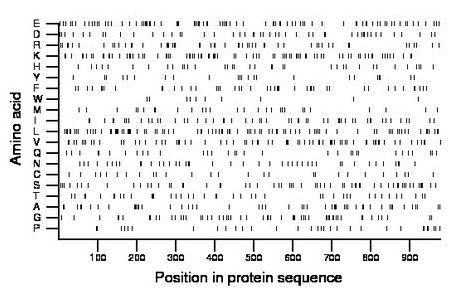 amino acid map