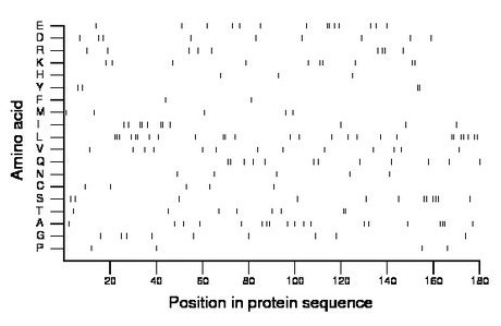 amino acid map