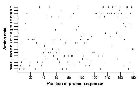 amino acid map