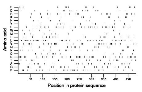 amino acid map