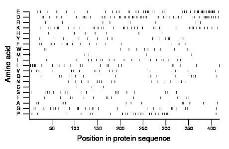 amino acid map