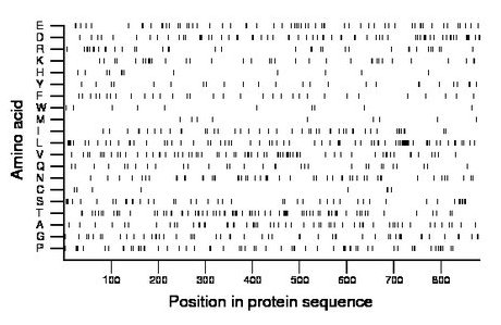 amino acid map